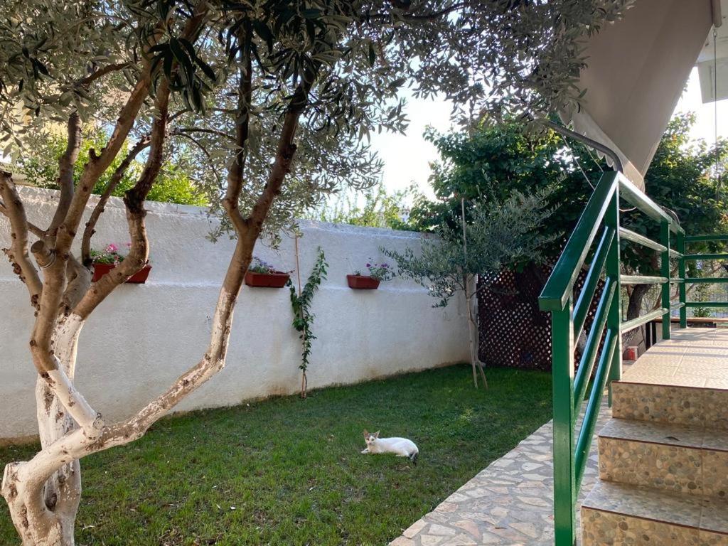 Ergys Apartments Ksamil Exterior foto
